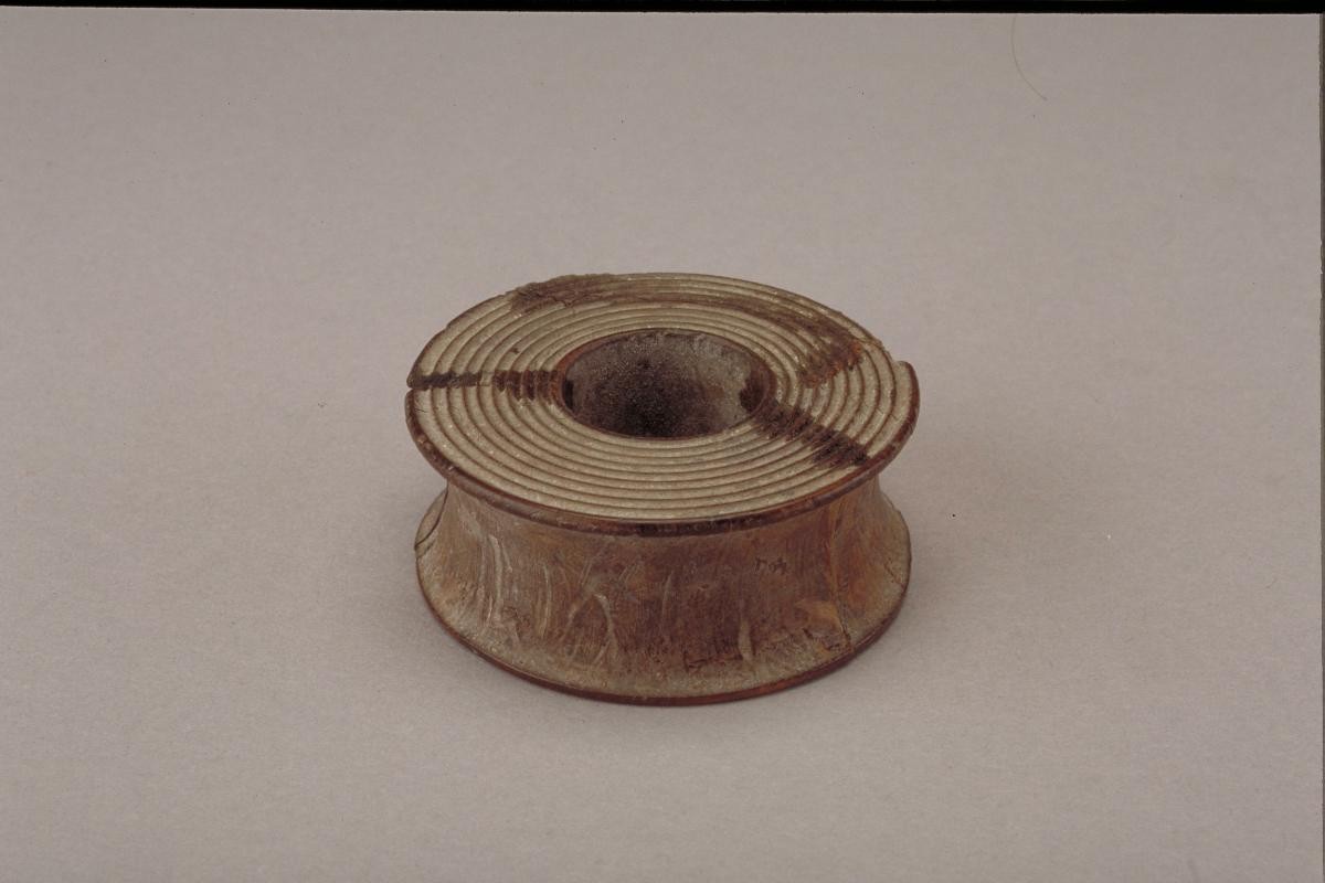 Discal Ear Plug