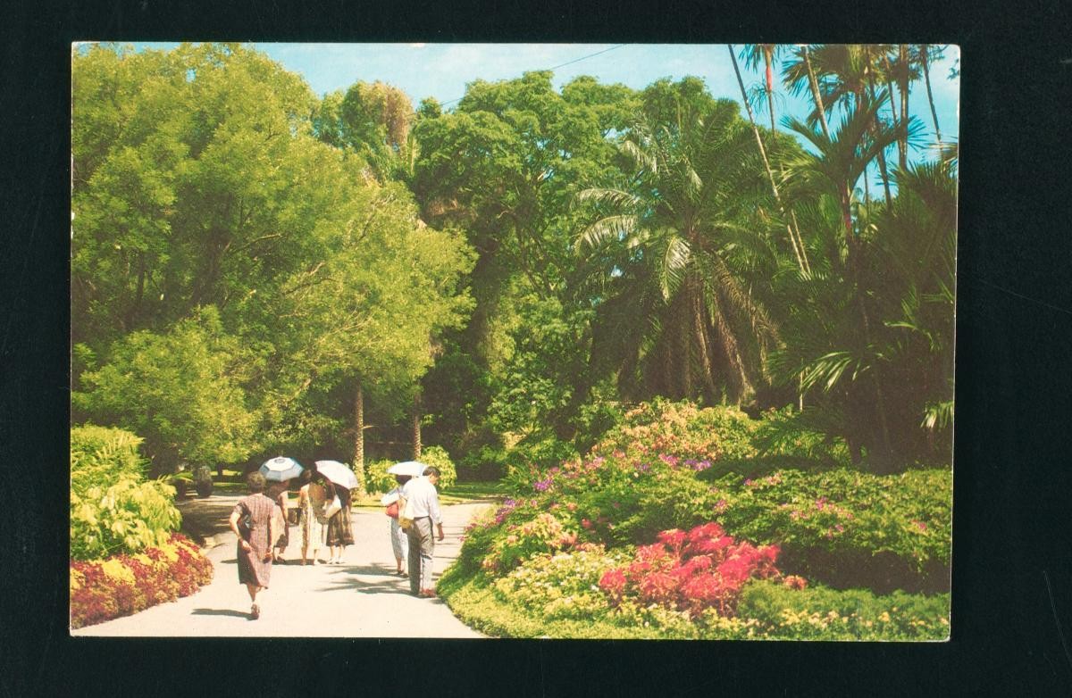 Visitors at the Singapore Botanic Gardens