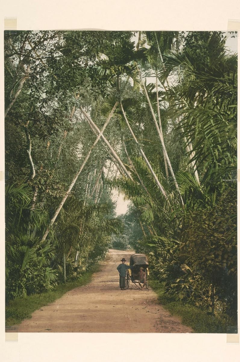 Hand-tinted photograph entitled ‘Road to Tanglin’