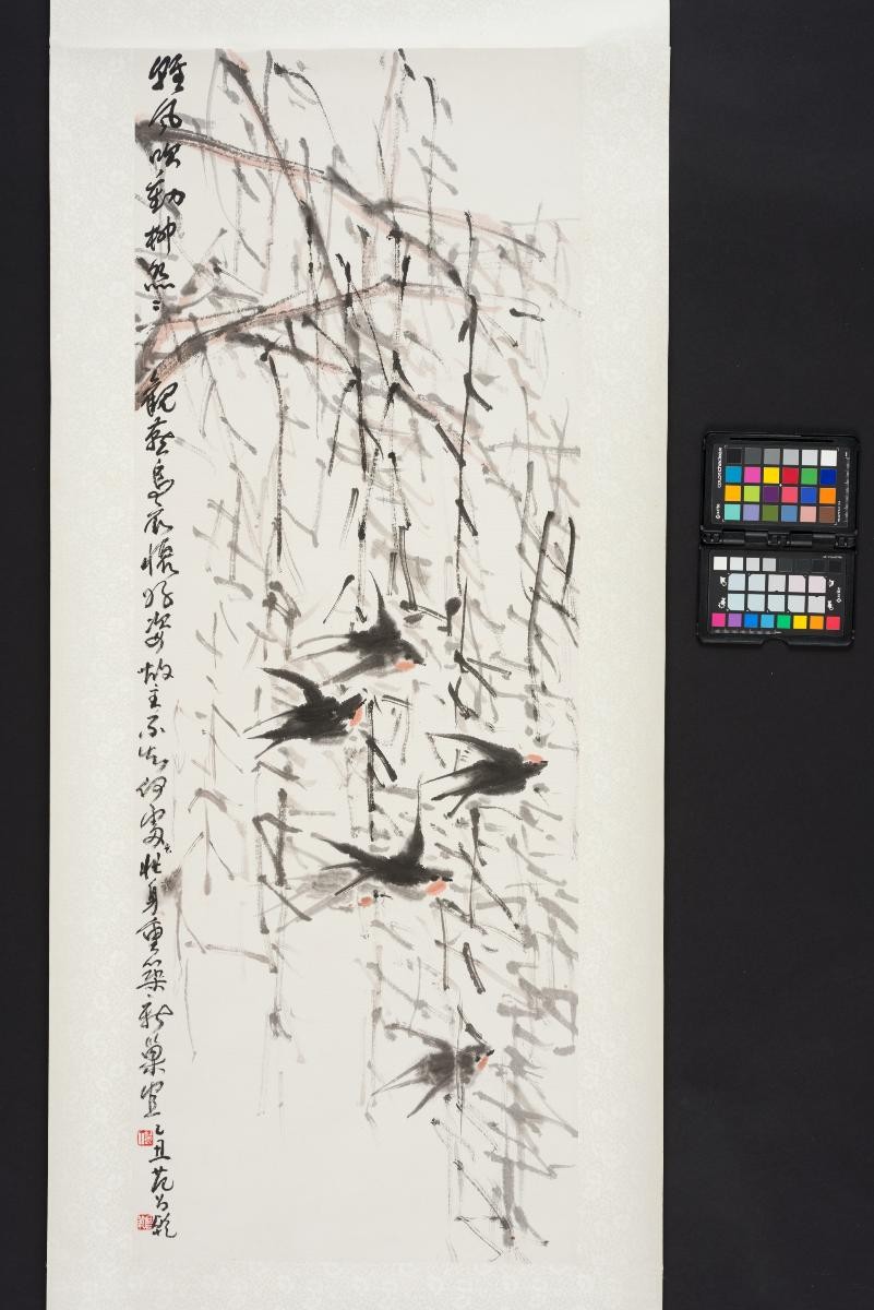 Swallows Passing by the Willows