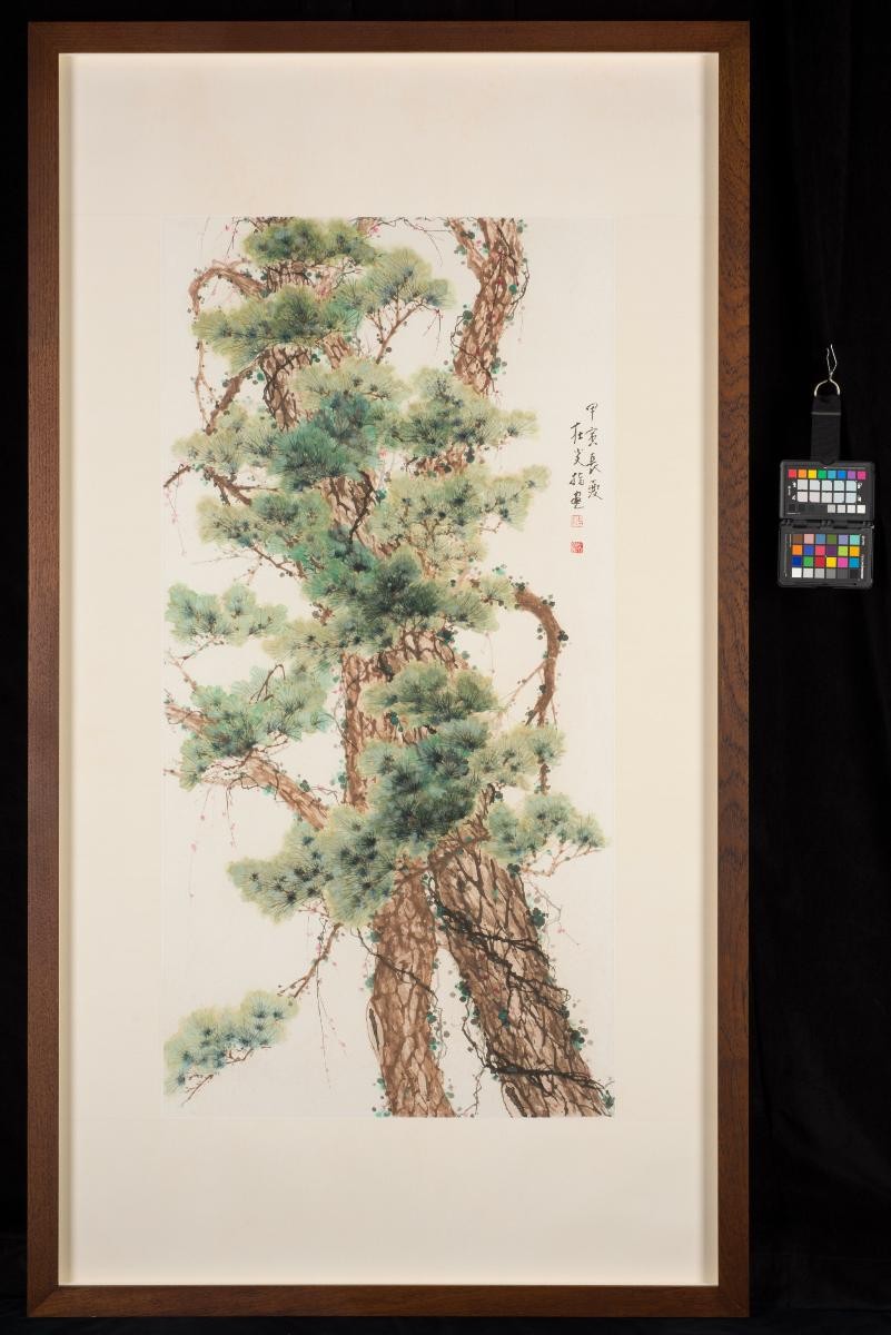Pine Tree