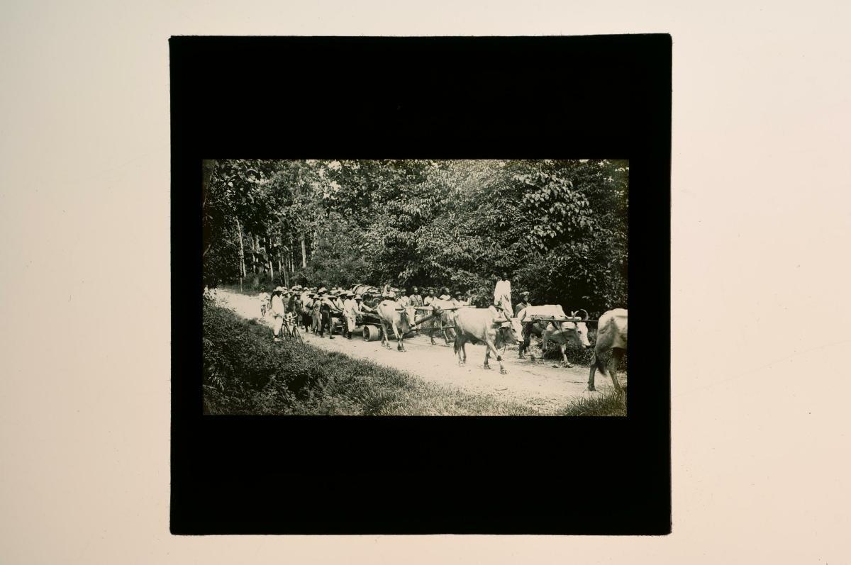 A glass lantern slide depicting a jungle expedition