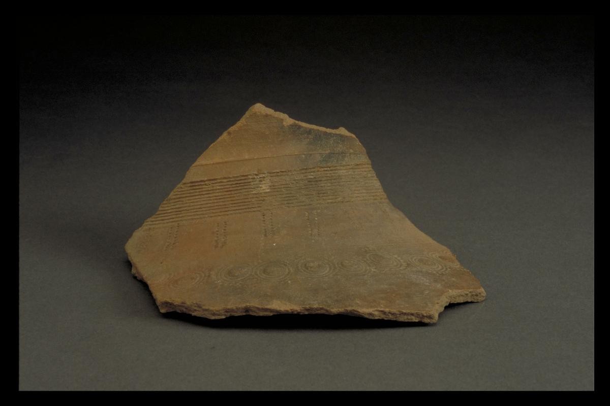 Sherd