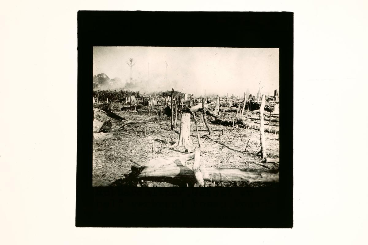 A glass lantern slide depicting land clearance